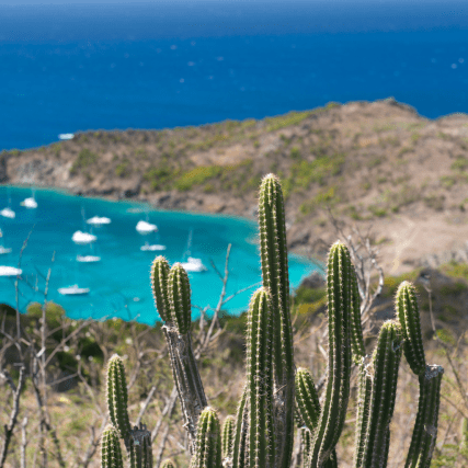 RANDONNER À SAINT-BARTH, LOIN DES SENTIERS BATTUS