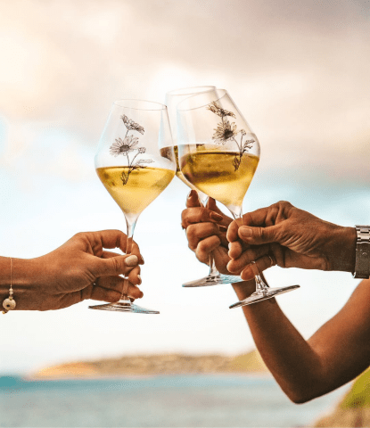 Manapany - Pop Up Saveurs de St-Barth